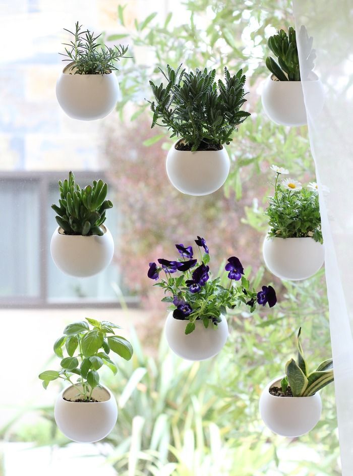 kybaliondeco inspiracion plantas verical proyectos decoracion online 25